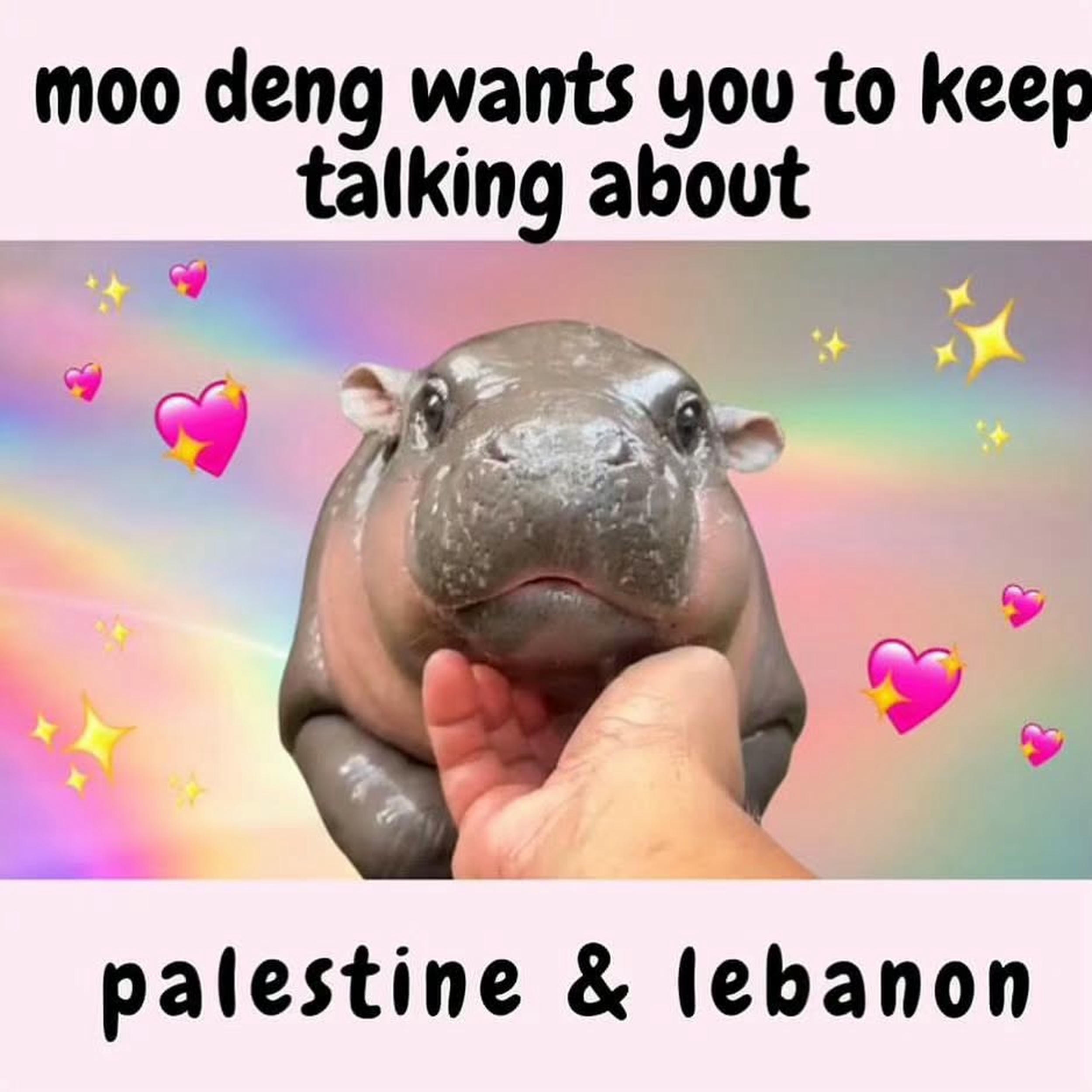 Moo Deng wants you to keep talking about Palestine & Lebanon