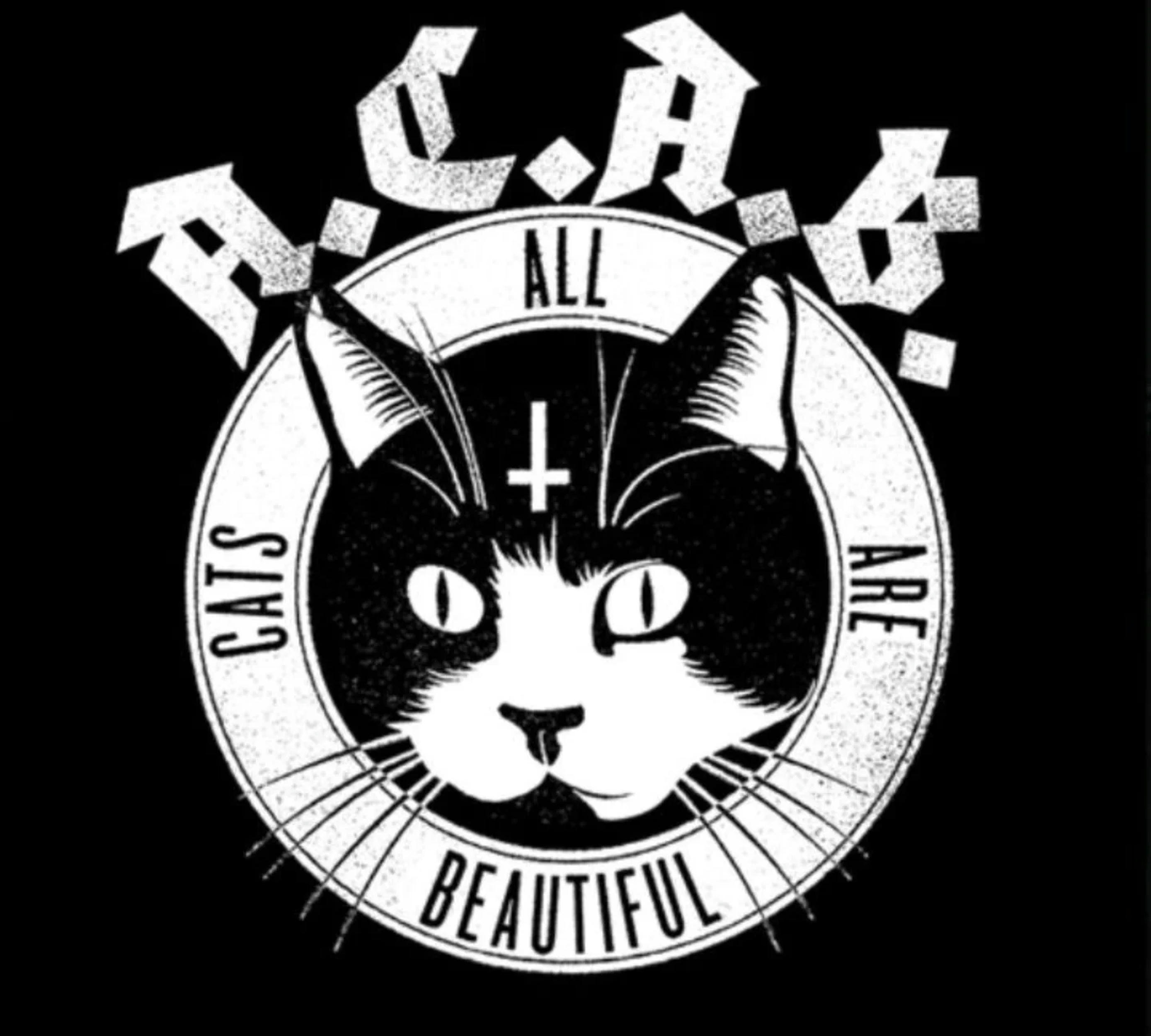 All Cats Are Beautiful