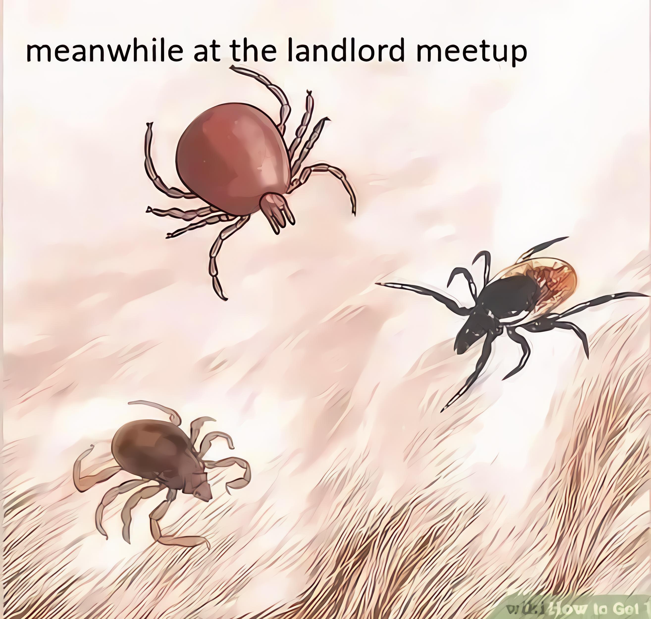 Meanwhile at the landlord meetup