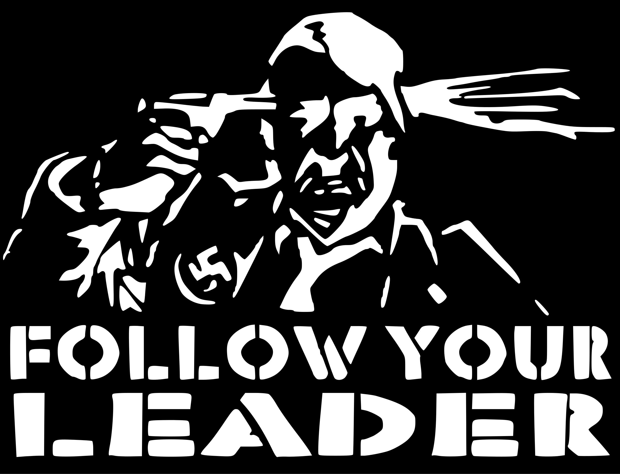 Follow your leader