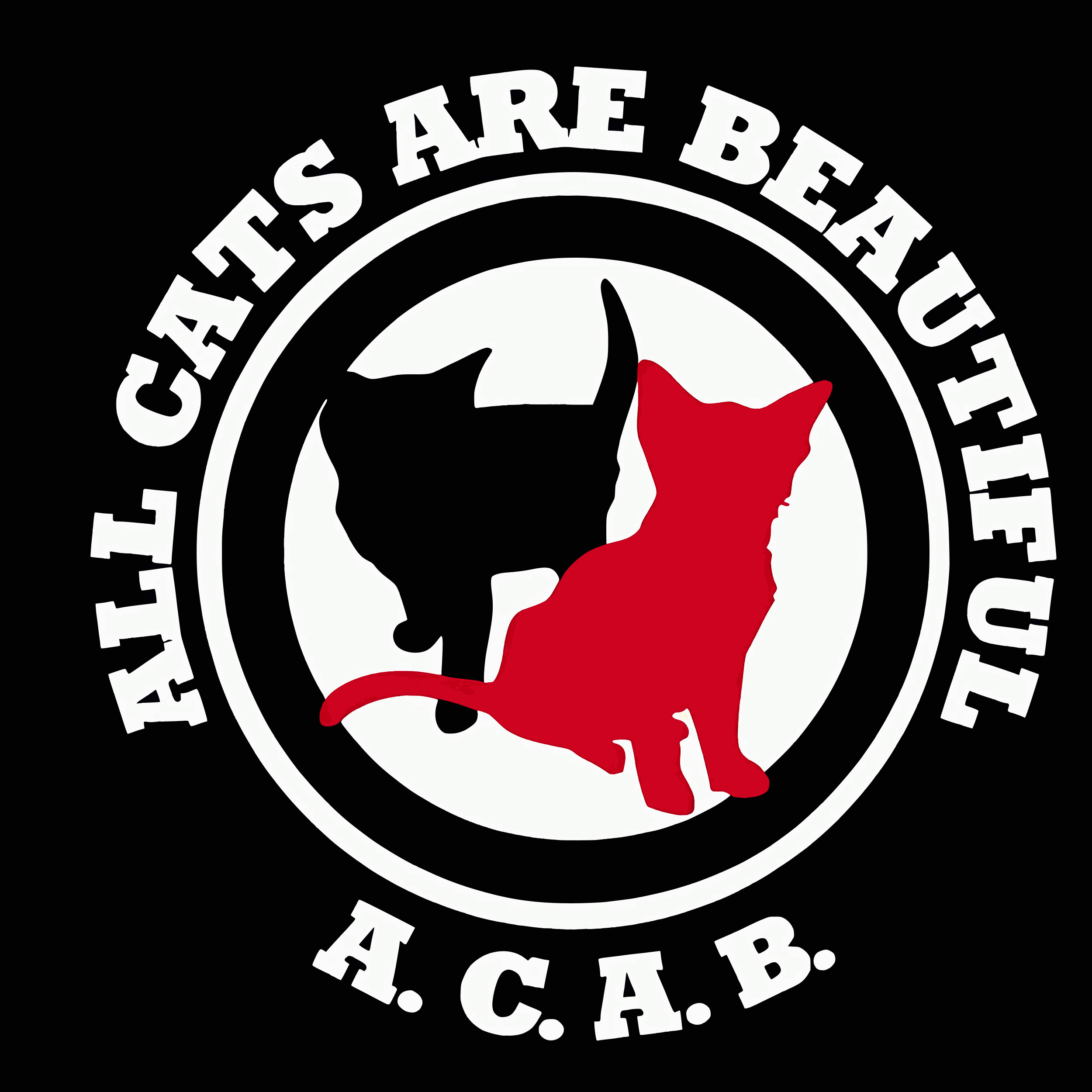 All Cats Are Beautiful