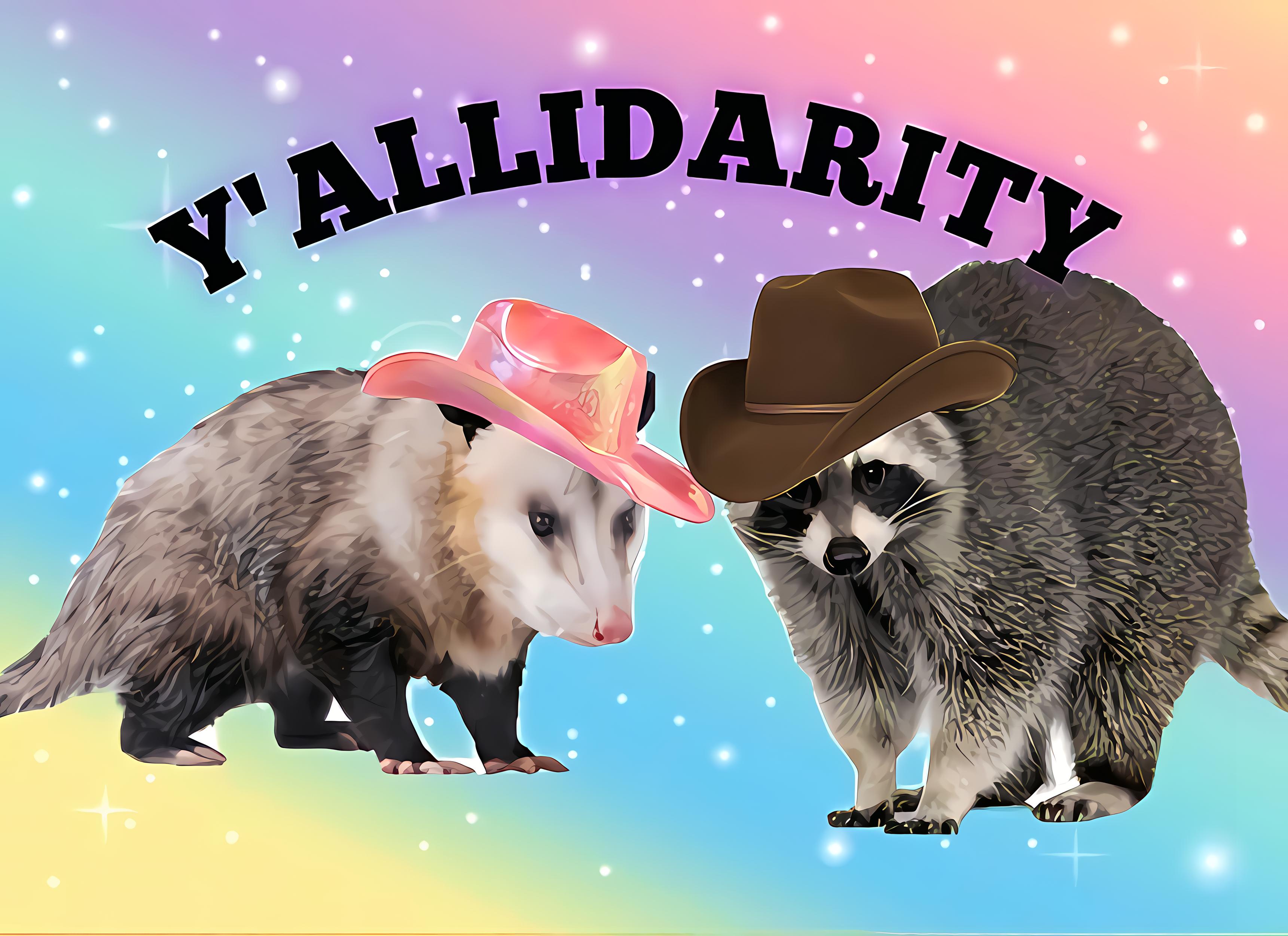 Y'allidarity